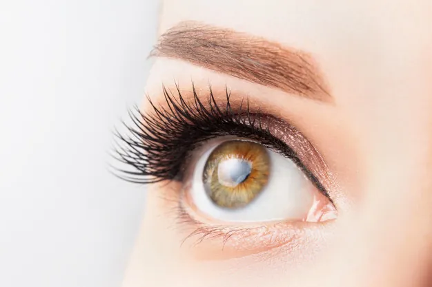 Fact Blindness Risk for Diabetes