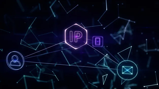 The important of IP